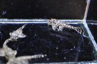 �h���S���{���_�[�h-1